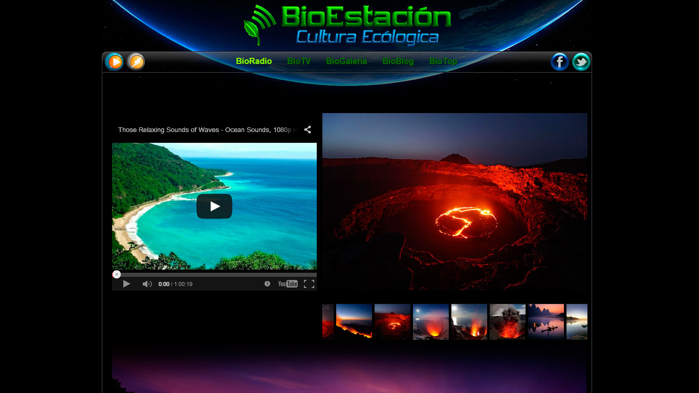 Bioestacion, Página Web